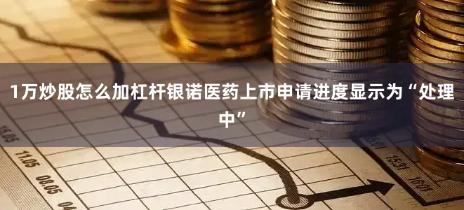 1万炒股怎么加杠杆银诺医药上市申请进度显示为“处理中”