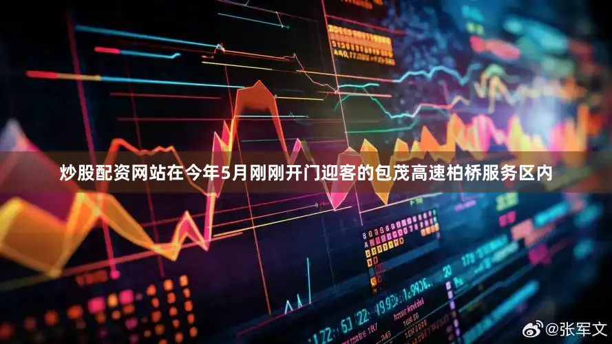 炒股配资网站在今年5月刚刚开门迎客的包茂高速柏桥服务区内