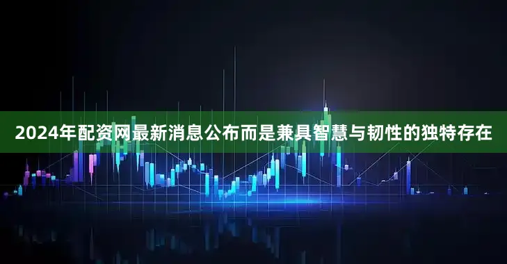 2024年配资网最新消息公布而是兼具智慧与韧性的独特存在