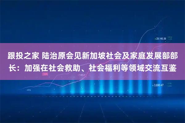 跟投之家 陆治原会见新加坡社会及家庭发展部部长：加强在社会救助、社会福利等领域交流互鉴