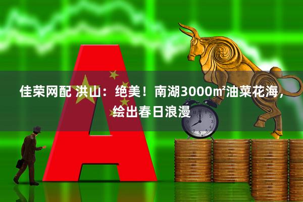 佳荣网配 洪山：绝美！南湖3000㎡油菜花海，绘出春日浪漫