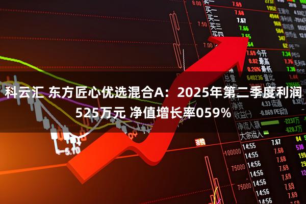 科云汇 东方匠心优选混合A：2025年第二季度利润525万元 净值增长率059%