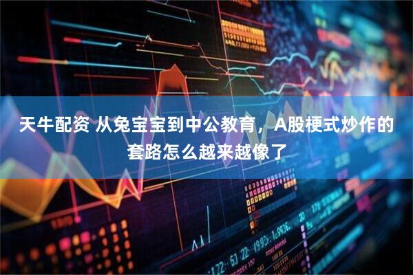 天牛配资 从兔宝宝到中公教育,A股梗式炒作的套路怎么越来越像了
