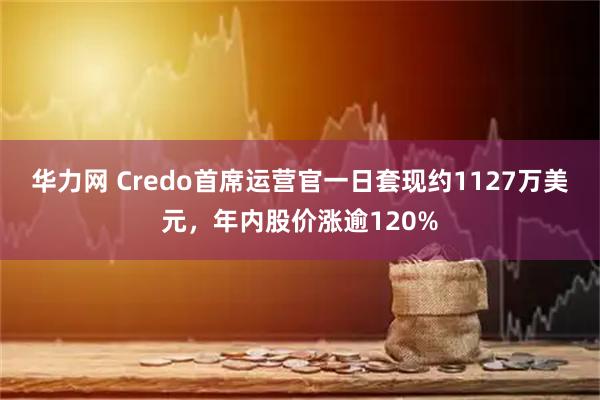 华力网 Credo首席运营官一日套现约1127万美元，年内股价涨逾120%